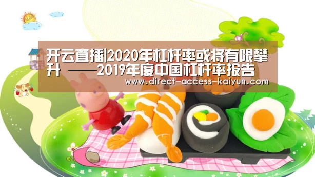 开云直播|2020年杠杆率或将有限攀升 ——2019年度中国杠杆率报告(图1) 开云体育官网
