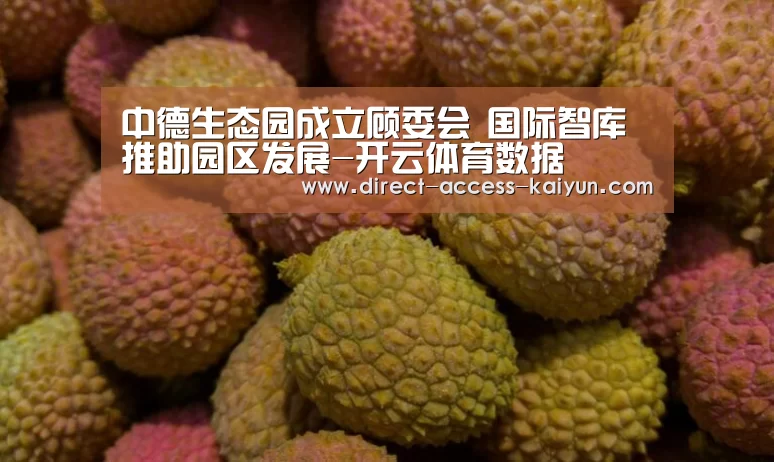开云体育数据
