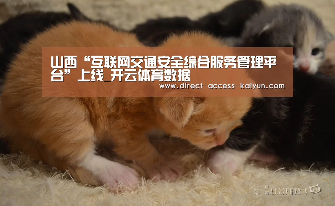 开云直播