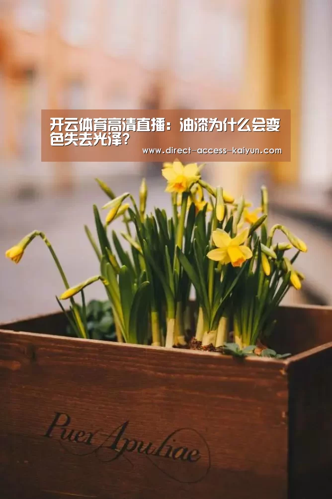 开云体育高清直播:油漆为什么会变色失去光泽?(图1) 开云体育官网