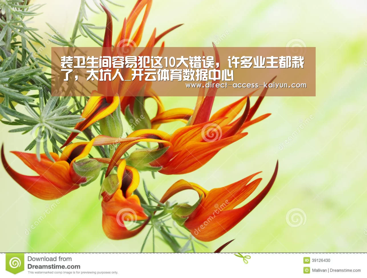开云直播