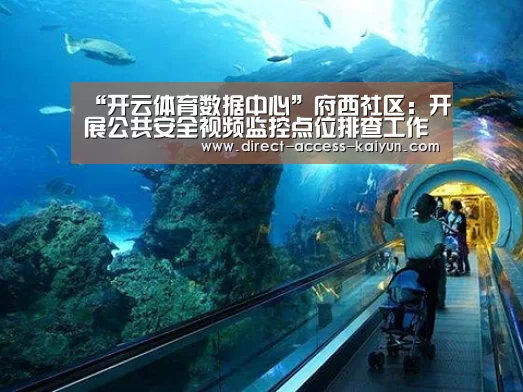 “开云体育数据中心”府西社区:开展公共安全视频监控点位排查工作(图2) 开云体育官网