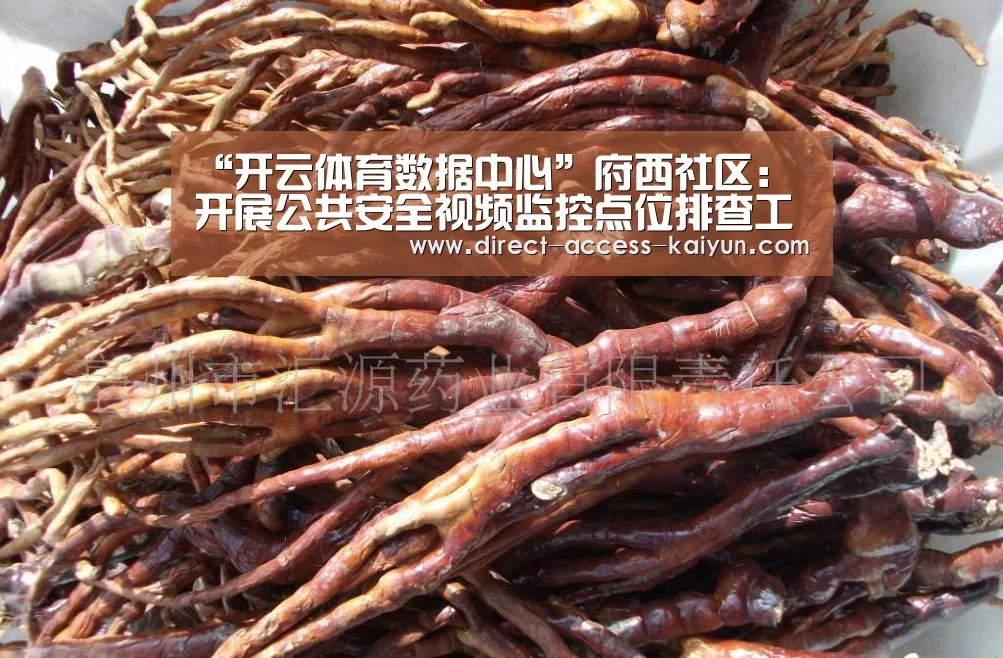 “开云体育数据中心”府西社区:开展公共安全视频监控点位排查工作(图1) 开云体育数据