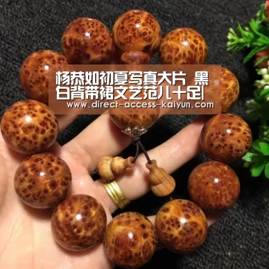 开云体育官网